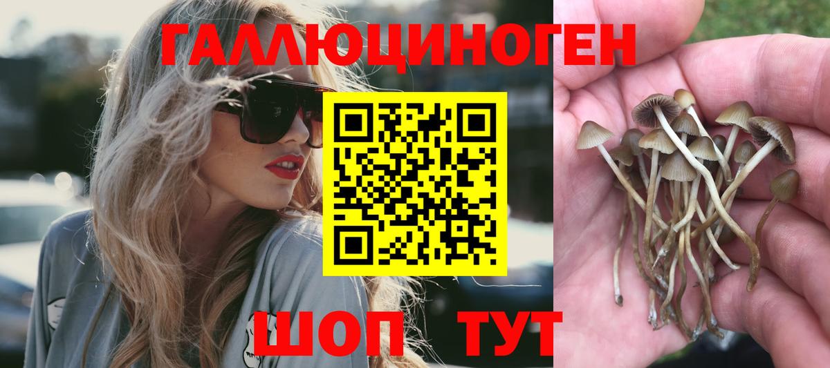 Приморско-Ахтарск  Галлюциногенные грибы Magic Shrooms  Вход с VPN  Галлюциногенные грибы Psilocybine cubensis 