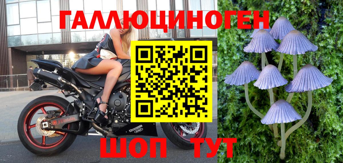 Галлюциногенные грибы прущие грибы  Приморско-Ахтарск 